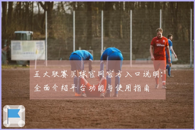 五大联赛买球官网官方入口说明：全面介绍平台功能与使用指南