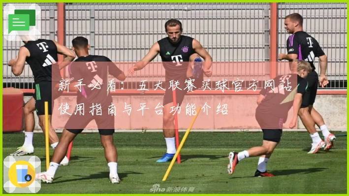 新手必看：五大联赛买球官方网站使用指南与平台功能介绍