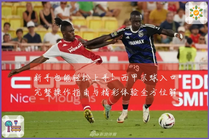 新手也能轻松上手！西甲买球入口完整操作指南与精彩体验全方位解读