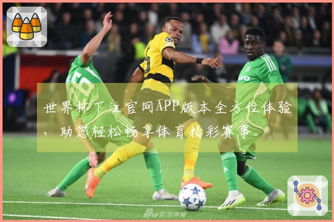 世界杯下注官网APP版本全方位体验，助您轻松畅享体育精彩赛事。