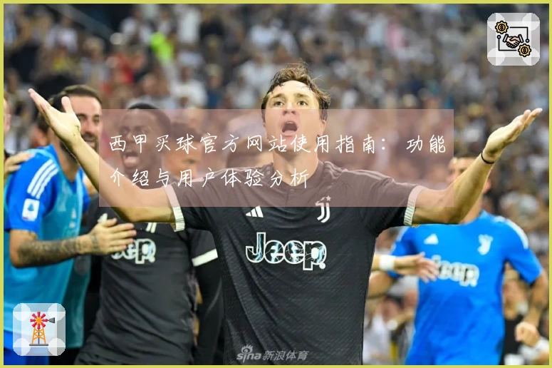 西甲买球官方网站使用指南：功能介绍与用户体验分析